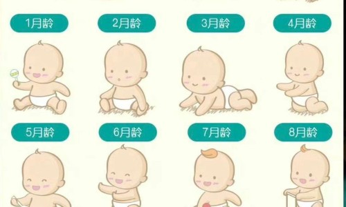 吴茱萸 白醋-【吴茱萸醋炙泡水喝怎么做】醋泡吴茱萸敷脚心的功效 - 醋调吴茱萸作用网